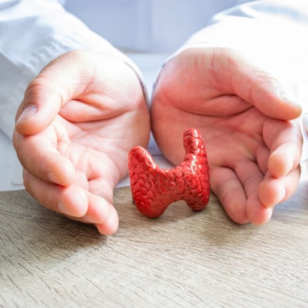 A person holding a red organ in their hands indicates a possible case of Thyroid Cancer.